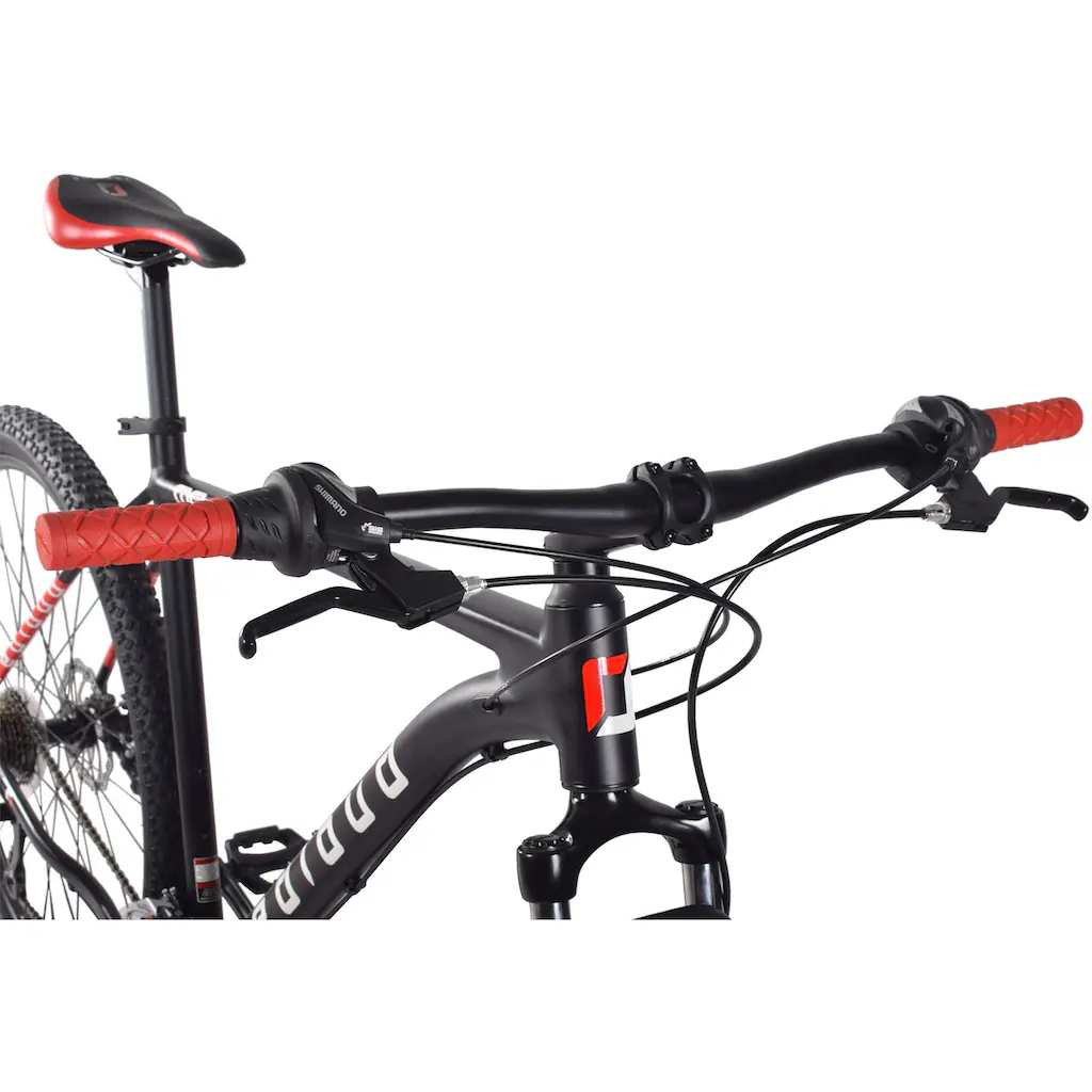 REDLOUD Mountainbike »MA.01« 21 Gang Shimano Shimano Tourney Schaltwerk Kettenschaltung auf Rechnung online kaufen Blitzangebot