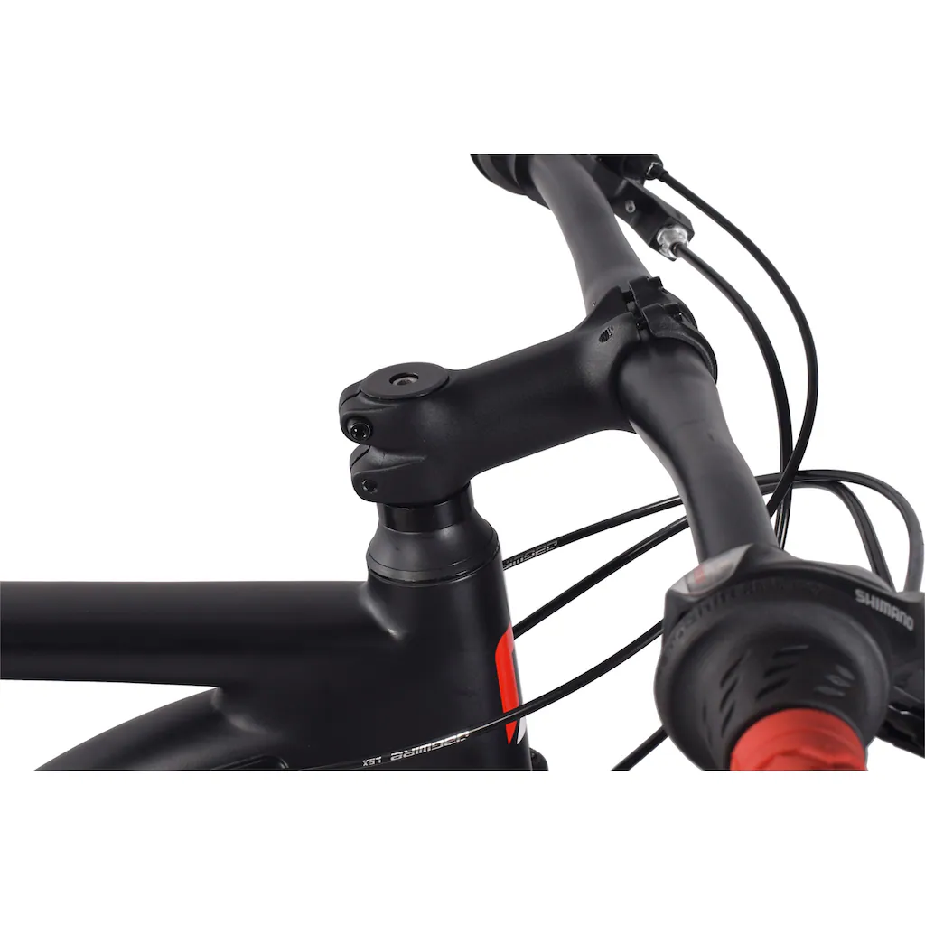 REDLOUD Mountainbike »MA.01« 21 Gang Shimano Shimano Tourney Schaltwerk Kettenschaltung auf Rechnung online kaufen Blitzangebot