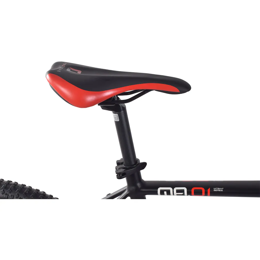 REDLOUD Mountainbike »MA.01« 21 Gang Shimano Shimano Tourney Schaltwerk Kettenschaltung auf Rechnung online kaufen Blitzangebot