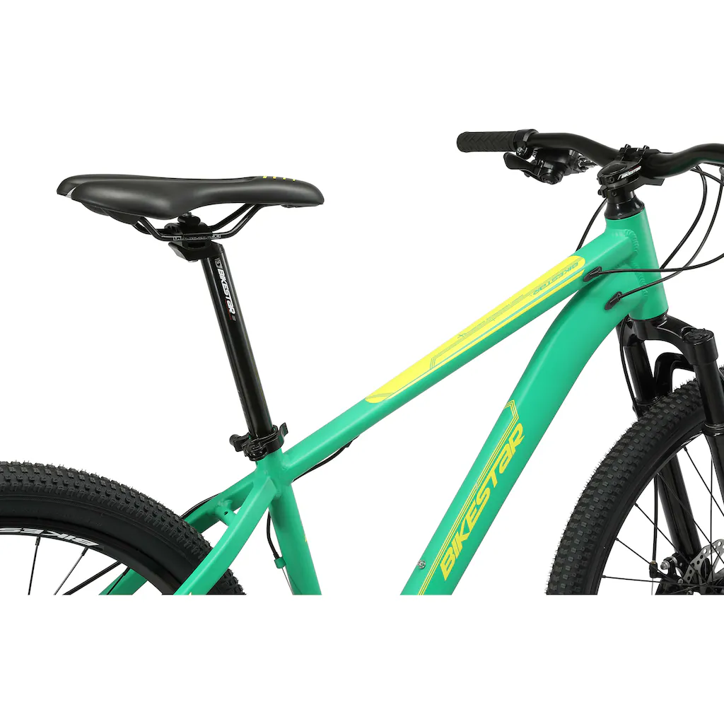 Bikestar Mountainbike 21 Gang Shimano RD-TY300 Schaltwerk Kettenschaltung für Damen und Herren Kettenschaltung Online