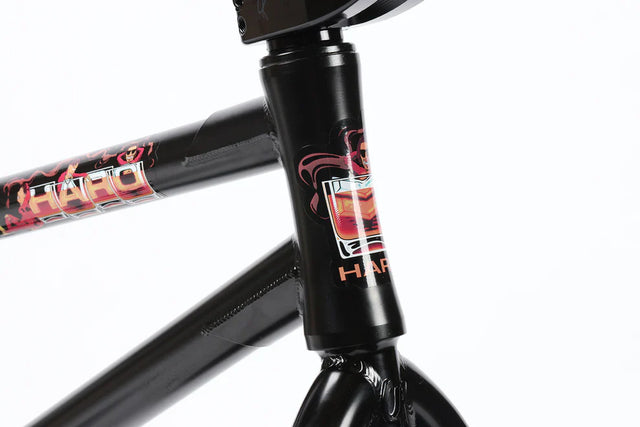 Haro Bikes Haro Bikes "Chad Kerley" CK Pro &vert; fahrrad.de zollfrei