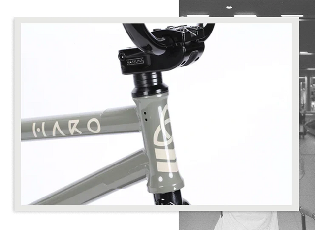 Haro Bikes Haro Bikes "Dennis Enarson SD" AM &vert; fahrrad.de Bis zu 55% Rabatt