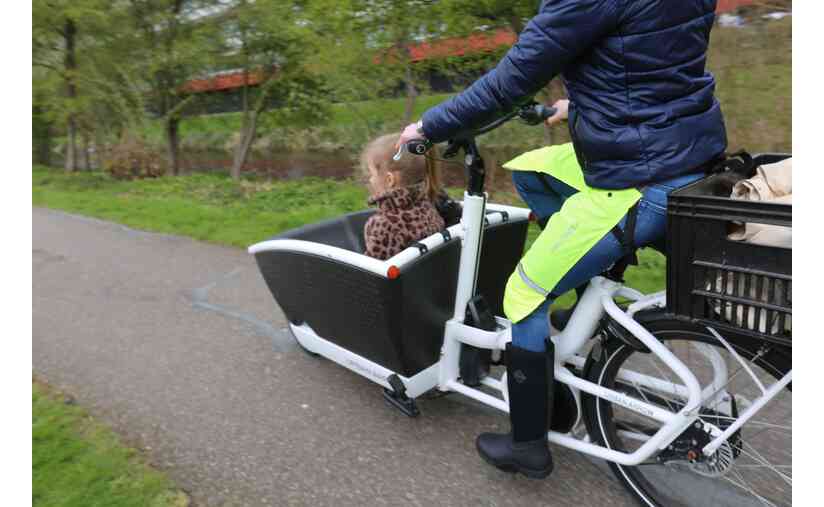 RAINLEGS Rainlegs Vierteljährliche Förderung