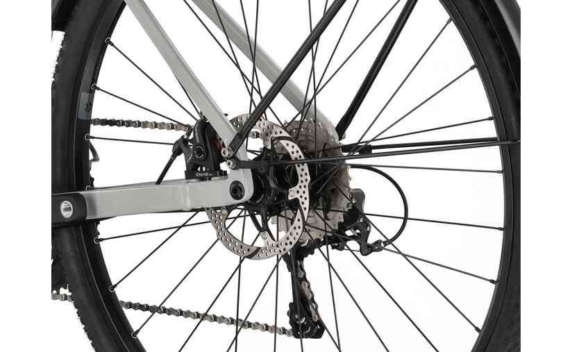Carver Gravel 100 Street - 28 Zoll - Diamant - 2024 JETZT KAUFEN