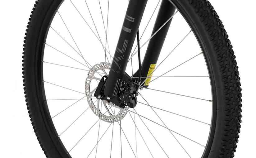 Carver Strict 110 - 29 Zoll - Diamant - 2024 Angebote