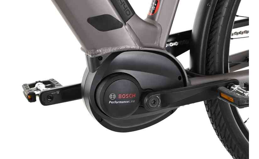 Carver Cityzen E.440 FL - 500 Wh - 28 Zoll - Tiefeinsteiger - 2024 zollfrei