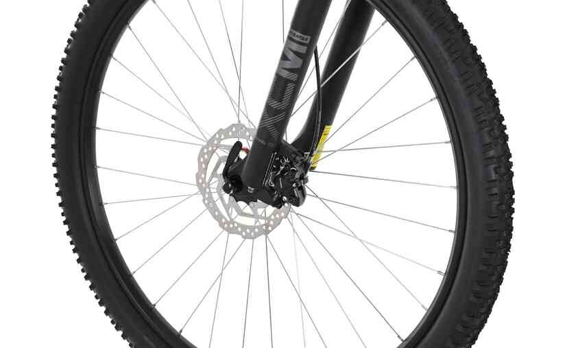 Carver Strict 120 - 29 Zoll - Diamant - 2024 Zeitlich begrenztes Angebot