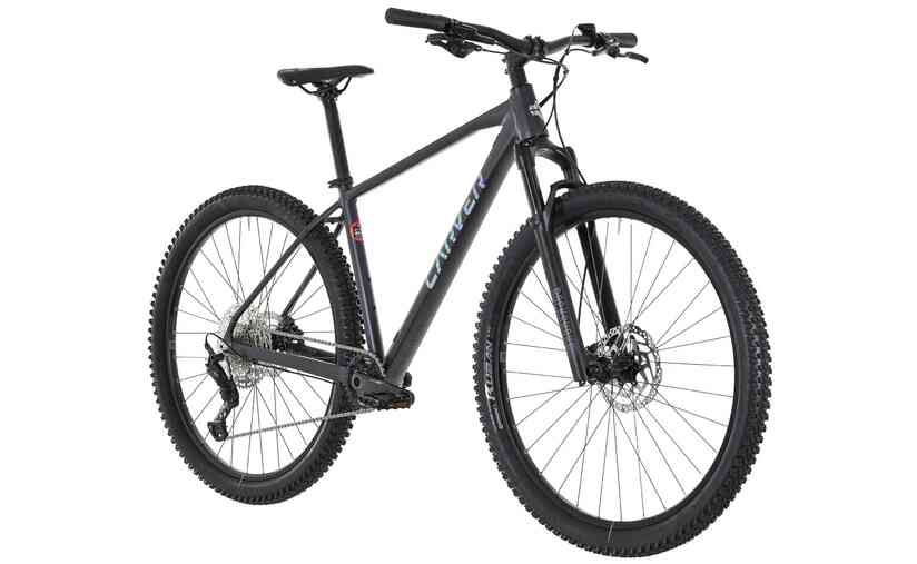 Carver Strict 170 - 29 Zoll - Diamant - 2024 Begrenzte Freigabe