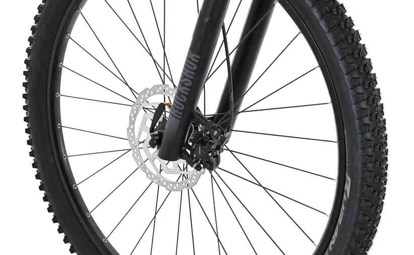 Carver Strict 170 - 29 Zoll - Diamant - 2024 Begrenzte Freigabe