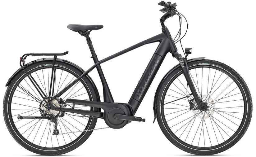 Diamant Mandara Deluxe+ - 500 Wh - 28 Zoll - Diamant - Aktion