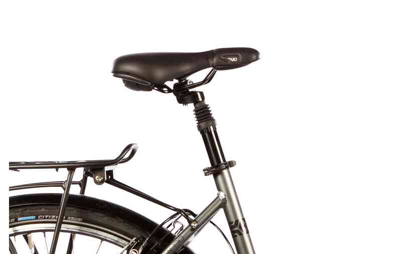 Carver Cityzen 130 - 28 Zoll - Tiefeinsteiger - 2024 zollfrei