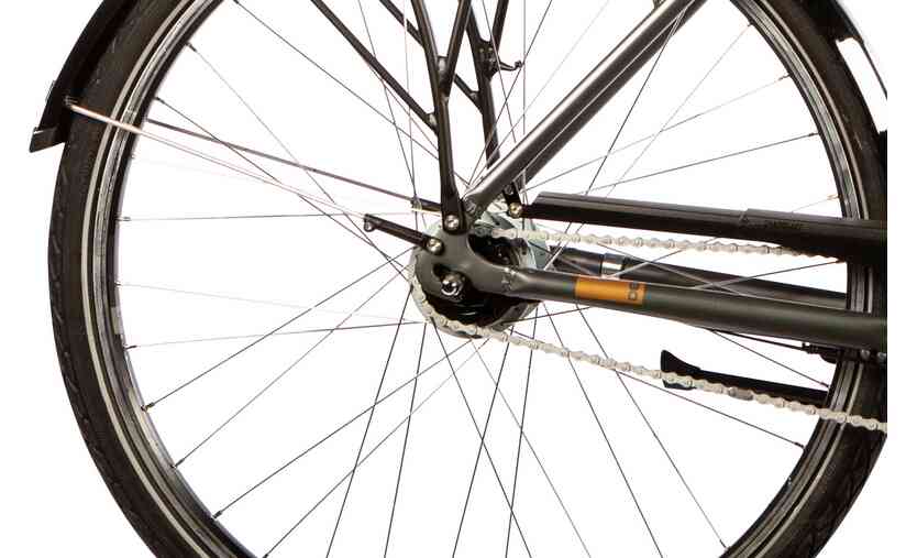 Carver Cityzen 130 - 28 Zoll - Tiefeinsteiger - 2024 zollfrei